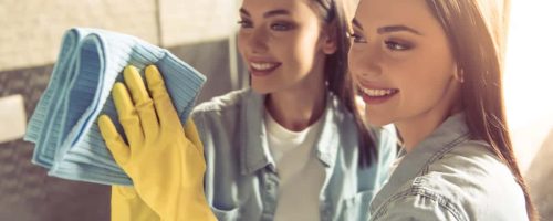 Plumer-Contabilidade-Especializada-para-empregador-domestico2 Plumer Contabilidade para Empregador Doméstico